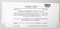 Claviceps purpurea image